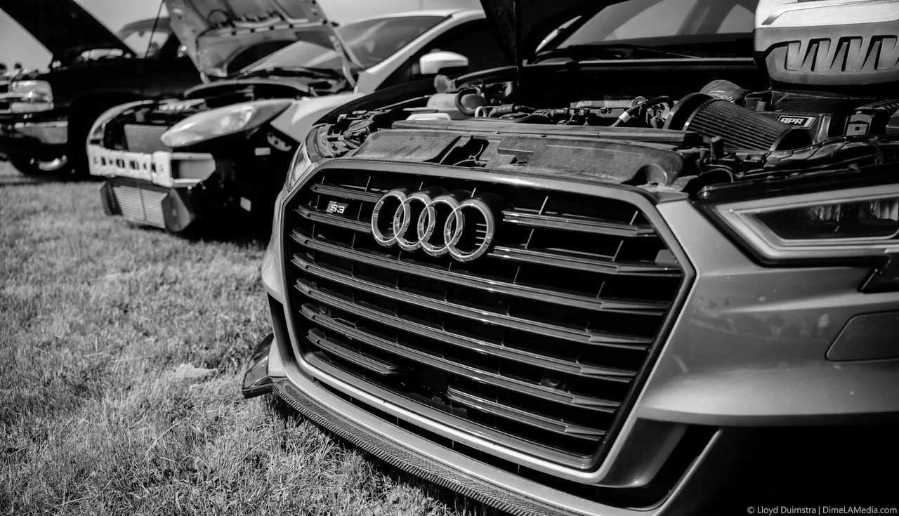 Black and white Audi S3 grille with open hoods at a car show