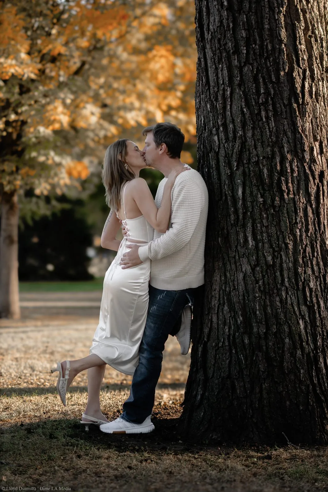Couple kissing beside a large tree framed by fall leaves