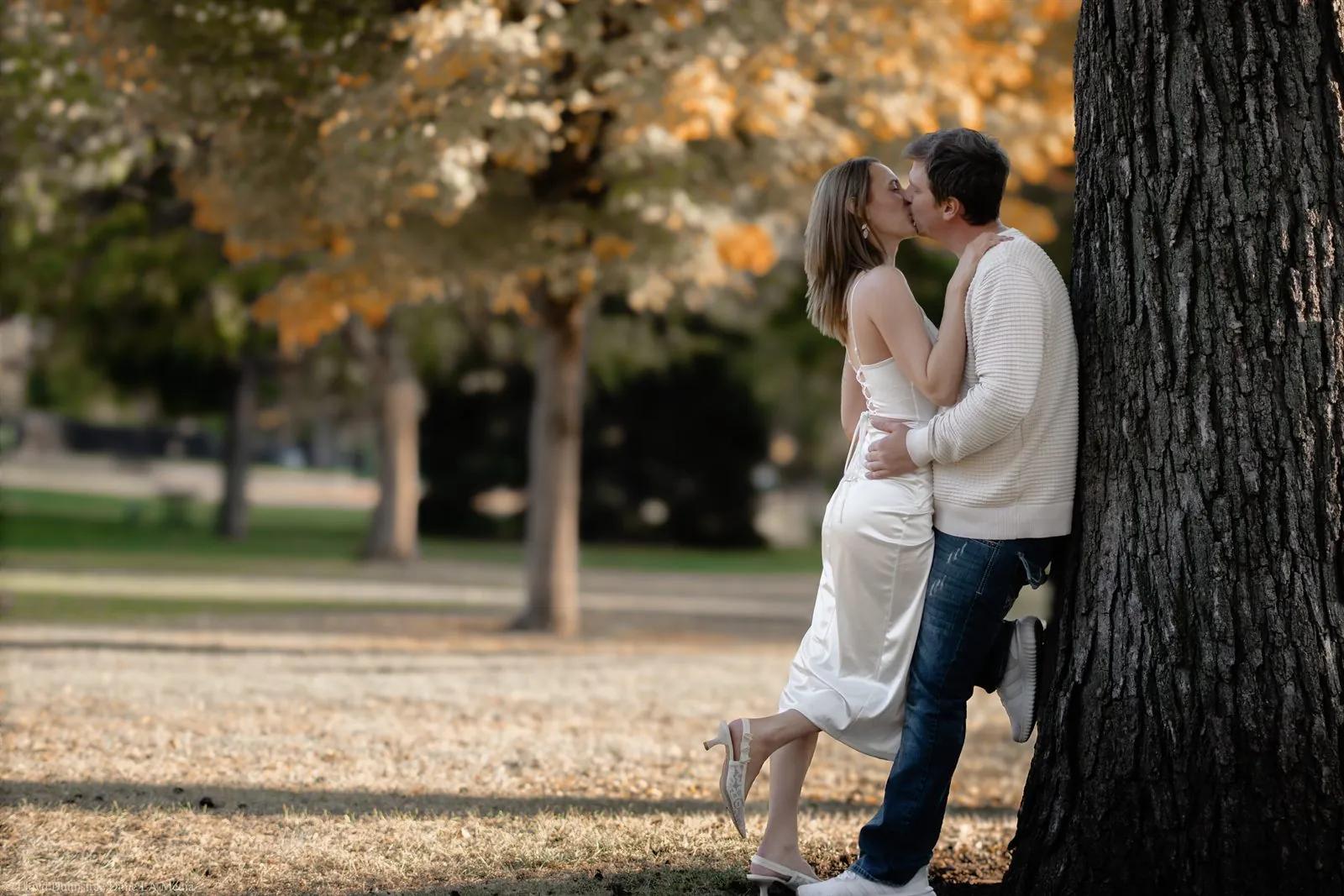 Couple kissing under a golden autumn tree