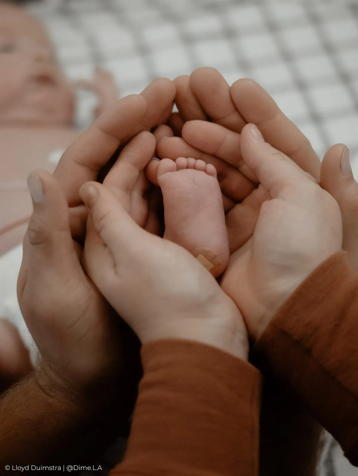Newborn feet held in parents' hands, Sioux Falls SD