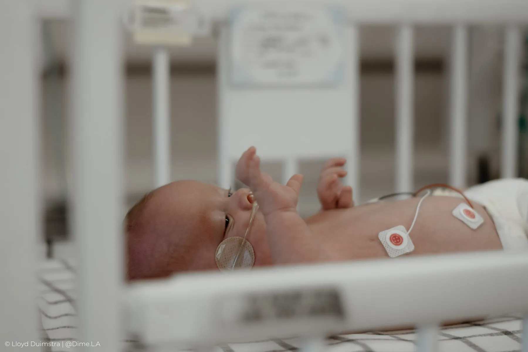 NICU newborn resting in his hospital crib, documentary newborn photography