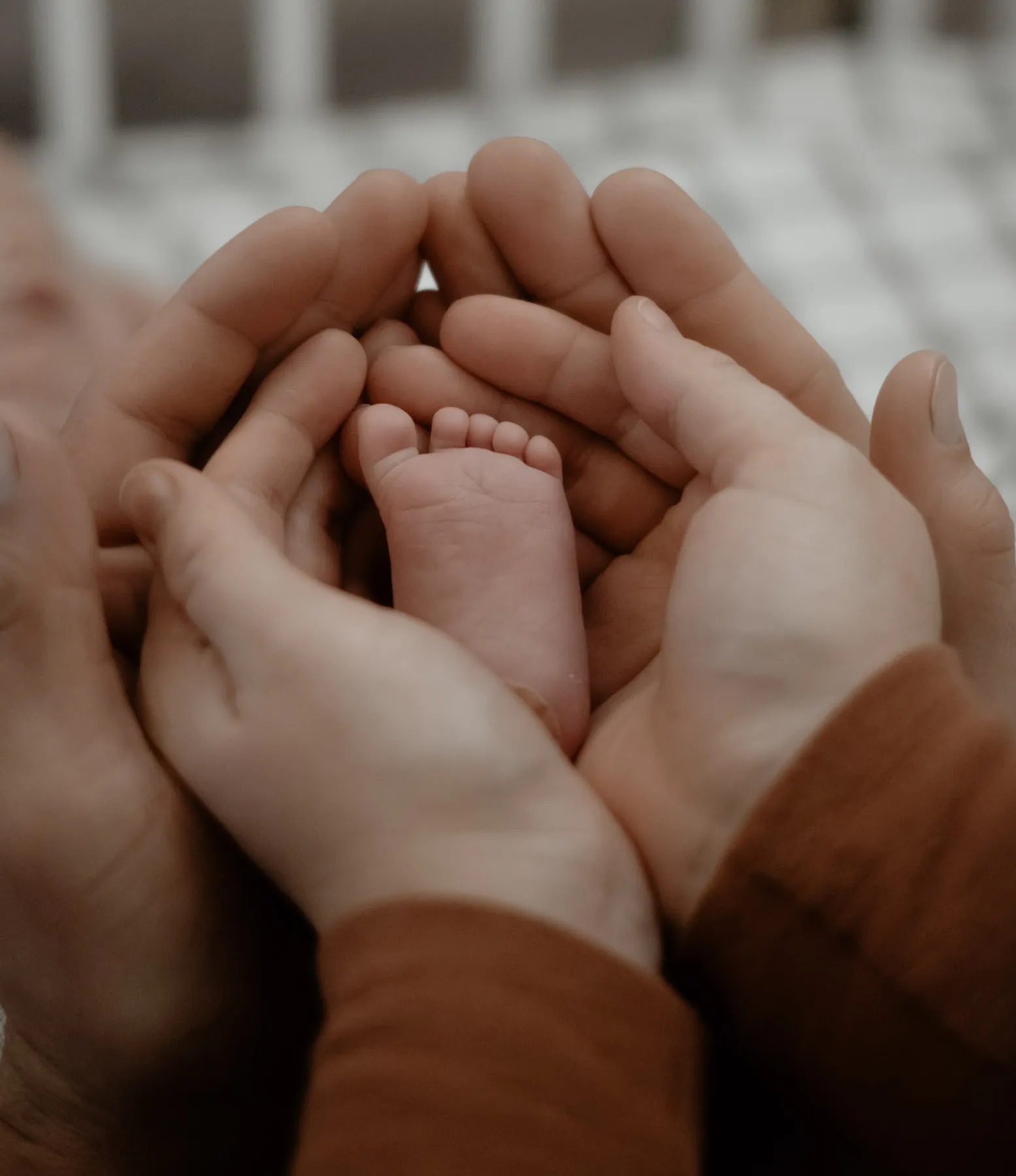 Newborn feet held in mom and dad’s hands