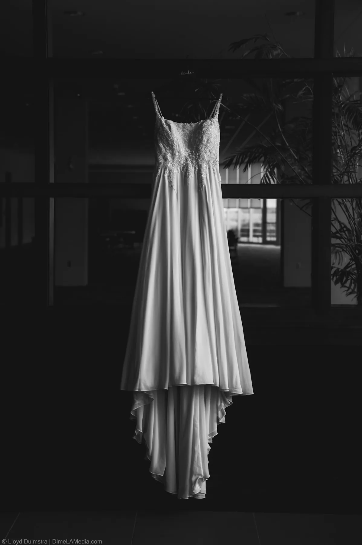 Bride portrait